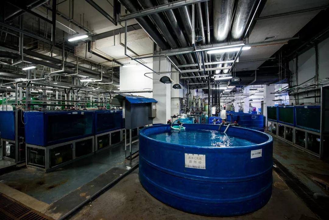 蠕動泵用于(yú)克服三種廢(fèi)水問題